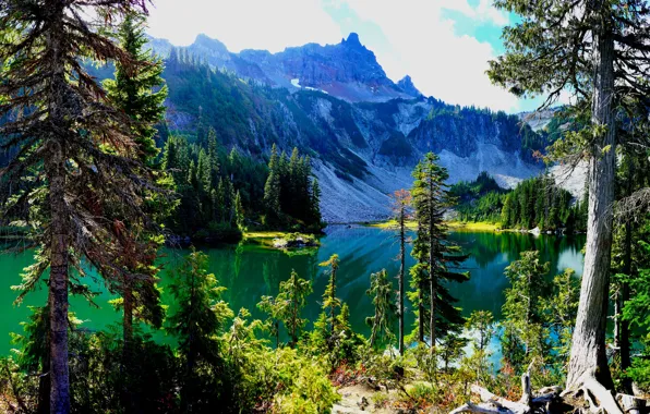 Trees, mountains, lake, Mount Rainier National Park, National Park mount Rainier, The cascade mountains, Washington …