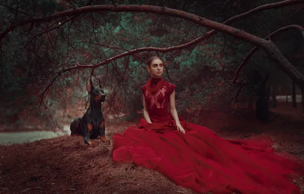 Picture forest, girl, branches, style, dog, dress, pine, red dress