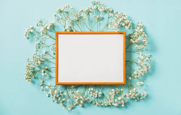 Picture flowers, background, frame, white, white, flowers, spring, frame