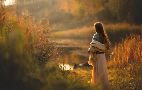 Autumn, forest, water, girl, light, lake, shore, skirt