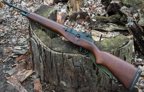 Picture Springfield, A semi-automatic rifle, Armory M1A