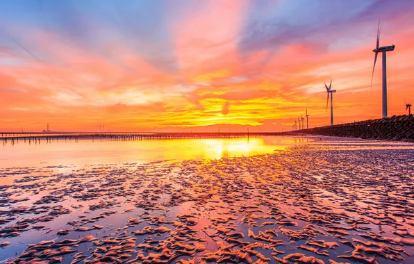 Picture sea, landscape, sunset, windmills