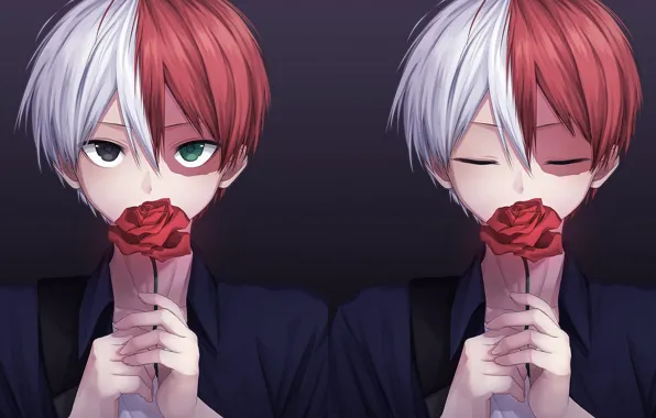 Collage, rose, boy, My Hero Academia, Boku No Hero Academy, Todoroki Shoto, My Hero Academy