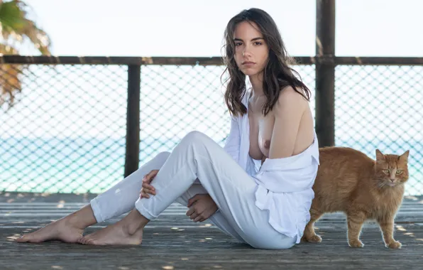 Cat, chest, look, pose, model, makeup, figure, brunette