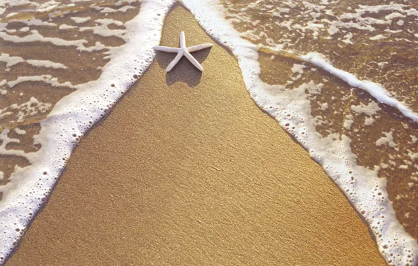 Sand, water, shore, star