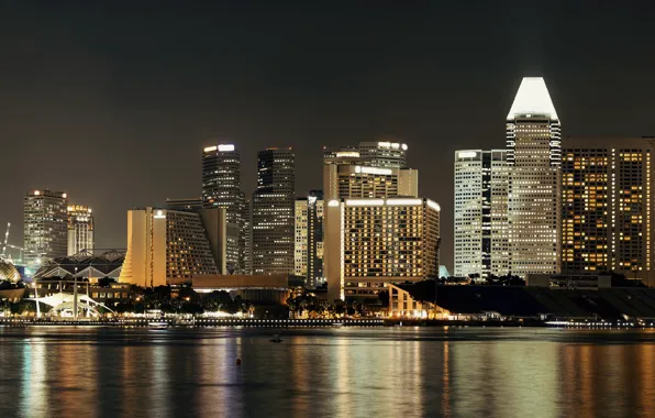 The sky, night, the city, lights, shore, building, home, skyscrapers