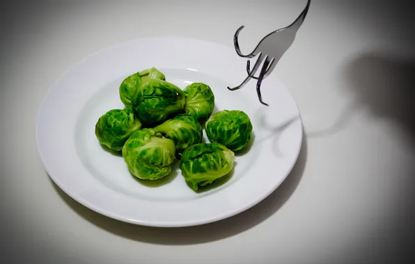 Food, plug, Brussels sprouts