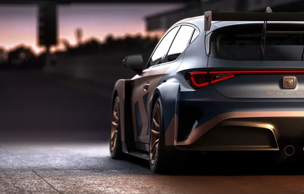 The evening, Leon, Competition, Seat, Cupra, 2020