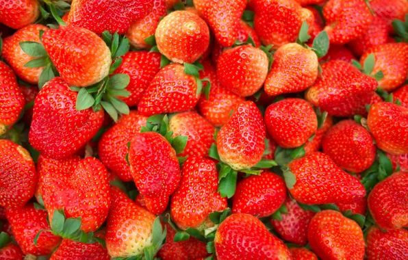 Picture berries, strawberry, red, fresh, wood, ripe, sweet, strawberry