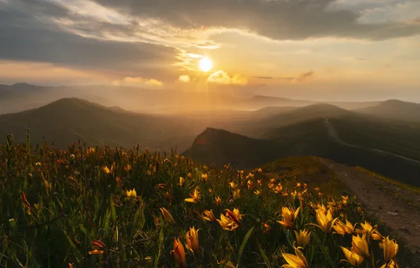 Picture the sun, rays, landscape, flowers, mountains, nature, spring, meadows