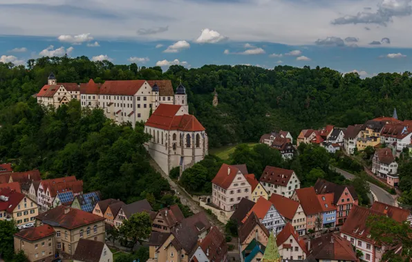 Roof, greens, forest, summer, the sky, clouds, trees, landscape