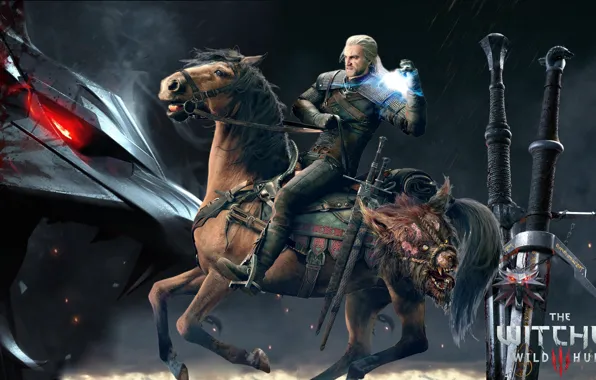 Horse, Swords, The Witcher, The Witcher, Geralt, Geralt of Rivia, Butcher Blaviken, Gwynbleidd