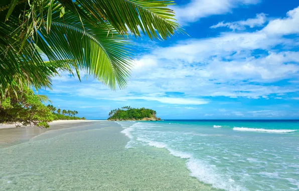 Picture sand, sea, beach, summer, palm trees, summer, beach, sea