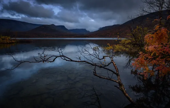 Autumn, mountains, branches, clouds, lake, stones, tree, shore