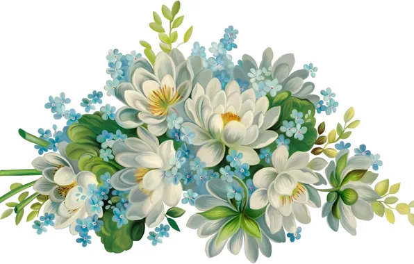 Flowers, white background, beautiful, blue flowers