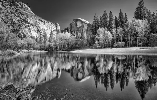 Trees, reflection, river, rocks, Merced River