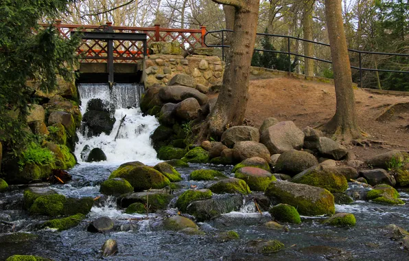 River, water, park, waterfall, stones