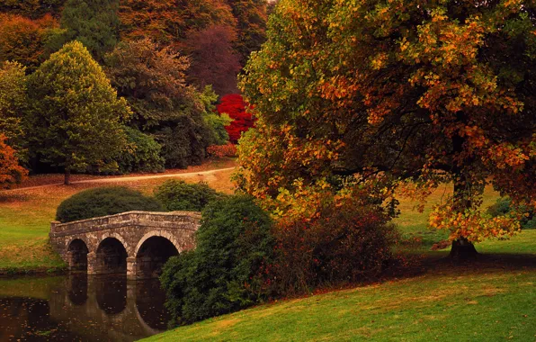 Autumn, trees, bridge, Park, England, Wiltshire