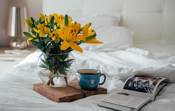 Comfort, coffee, bouquet, morning, book