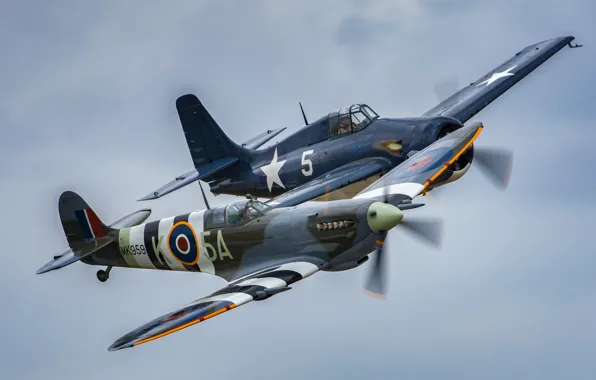 Flight, fighters, Spitfire, Wildcat