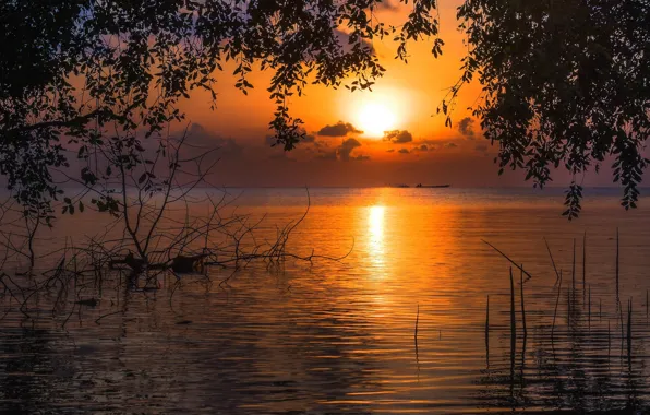 Picture water, landscape, sunset, nature, lake, the evening