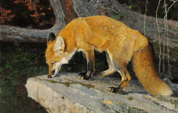 Picture animals, stone, picture, branch, art, Fox, tail, red