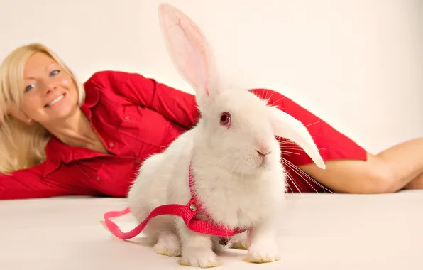 Picture girl, rabbit, collar, in red