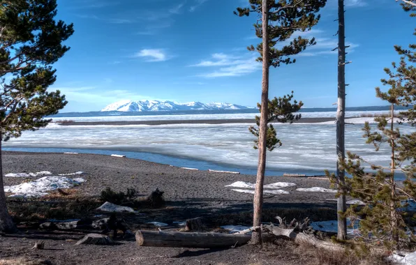 Ice, snow, trees, lake, shore, spring, USA, Sunny