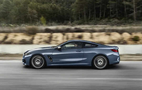 Picture forest, coupe, speed, BMW, profile, Coupe, 2018, gray-blue