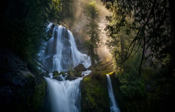 Picture forest, waterfalls, cascade, Columbia River Gorge, Falls Creek Falls, Gifford Pinchot National Forest, Washington State, …