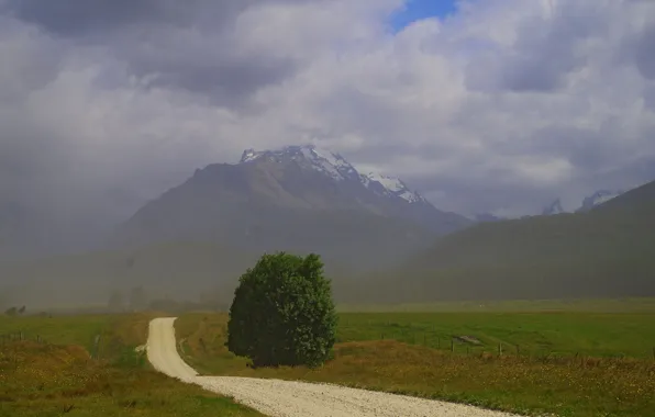 Road, field, trees, mountains, fog, New Zealand