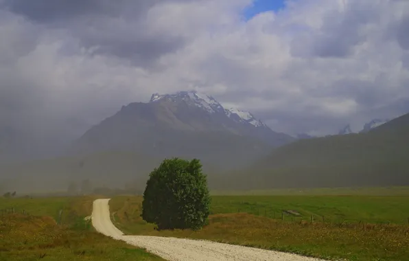 Road, field, mountains, fog, tree, New Zealand