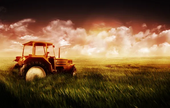 Picture wheat, field, the sky, grass, tractor