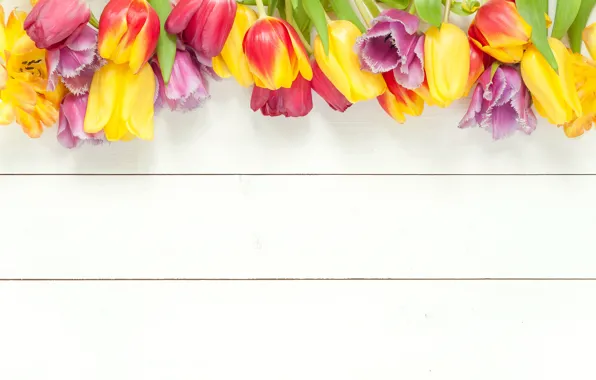 Picture flowers, spring, colorful, tulips, fresh, wood, flowers, beautiful