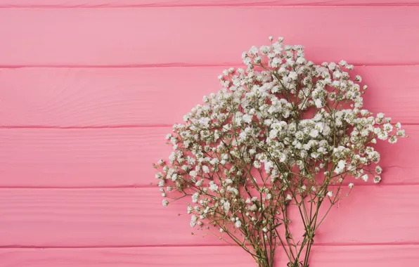 Picture flowers, background, pink, pink, flowers, background, wooden, spring