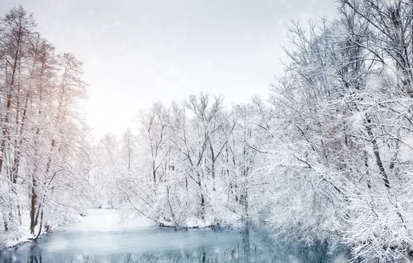 Ice, winter, snow, trees, landscape, lake, trees, landscape