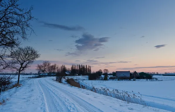 Winter, snow, sunset