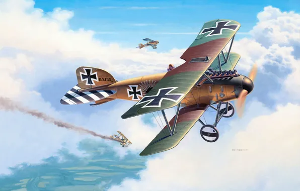 Picture Germany, fighter, biplane, Andrew Deredos, Albatros D. III, World War I