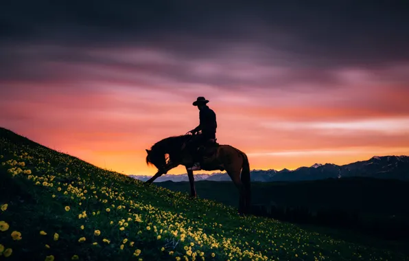 The sky, clouds, sunset, flowers, mountains, horse, horse, people
