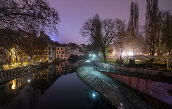 The sky, trees, lights, France, home, the evening, lights, channel