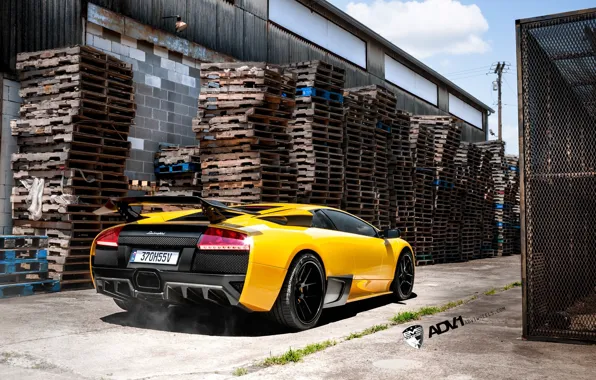 Lamborghini, yellow, Murcielago, adv1