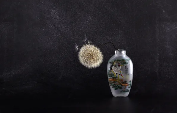 Flower, birds, the dark background, dandelion, vase, still life, dandelions, painting