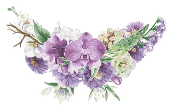 Flowers, texture, white background