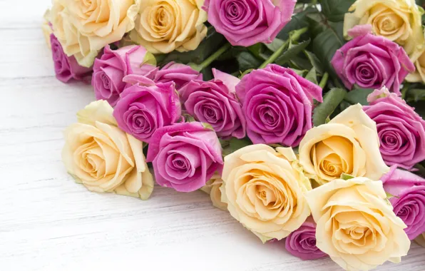 Picture flowers, roses, bouquet, yellow, pink, buds, pink, flowers