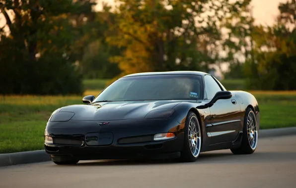 Picture Z06, Corvette, Chevrolet, Black, Chrome, Wheels