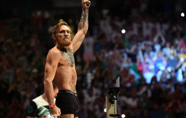 MMA, UFC, Conor McGregor, Conor McGregor