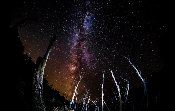 Space, stars, the milky way, driftwood