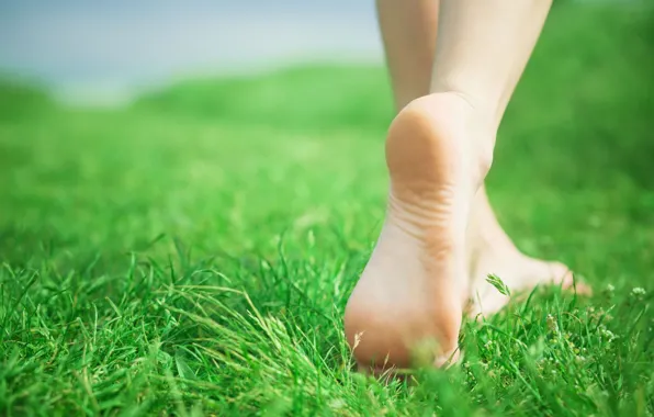Picture greens, grass, girl, nature, background, Wallpaper, feet, mood