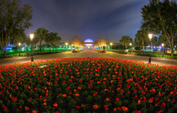 The sky, clouds, flowers, night, lights, Park, lights, flowerbed