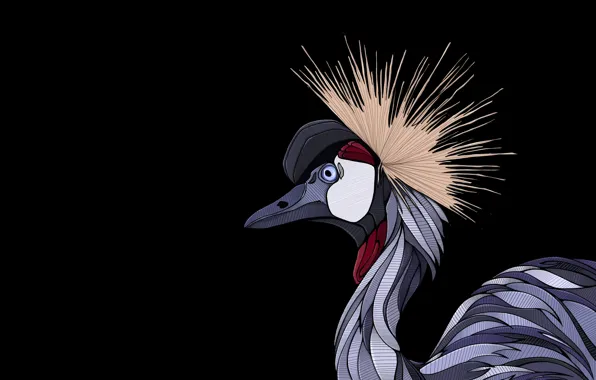 Bird, beak, crane